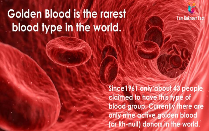 Rh null blood type